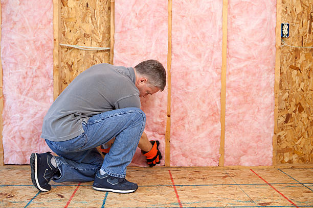 Best Eco-Friendly Insulation in Rio Del Mar, CA